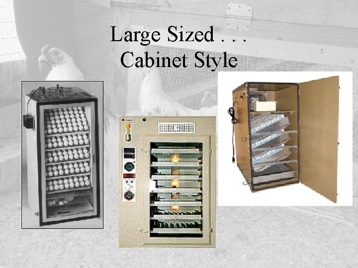 Large Sized. . . Cabinet Style 