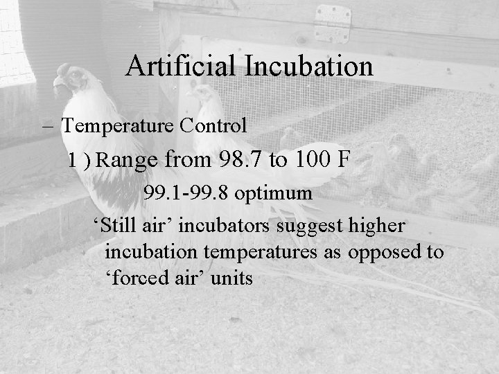 Artificial Incubation – Temperature Control 1 ) Range from 98. 7 to 100 F