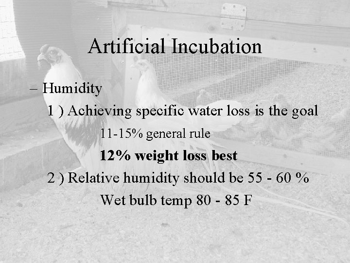 Artificial Incubation – Humidity 1 ) Achieving specific water loss is the goal 11