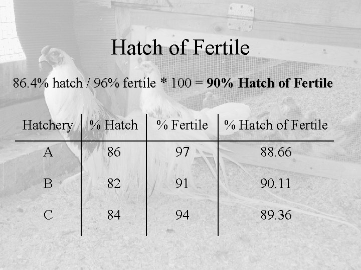 Hatch of Fertile 86. 4% hatch / 96% fertile * 100 = 90% Hatch