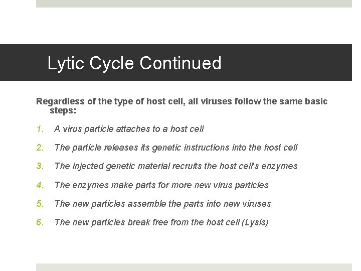 Lytic Cycle Continued Regardless of the type of host cell, all viruses follow the