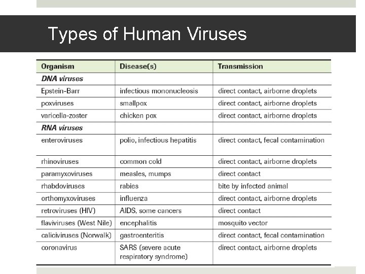 Types of Human Viruses 
