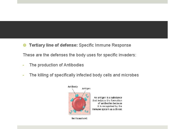  Tertiary line of defense: Specific Immune Response These are the defenses the body