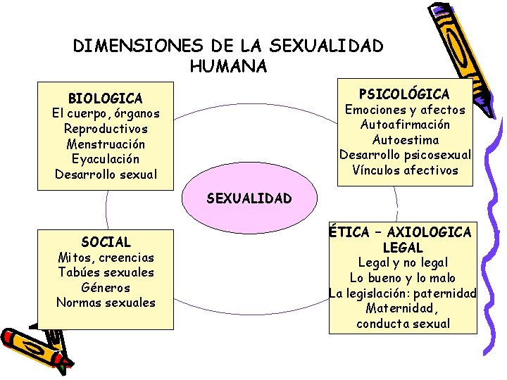 DIMENSIONES DE LA SEXUALIDAD HUMANA PSICOLÓGICA Emociones y afectos Autoafirmación Autoestima Desarrollo psicosexual Vínculos