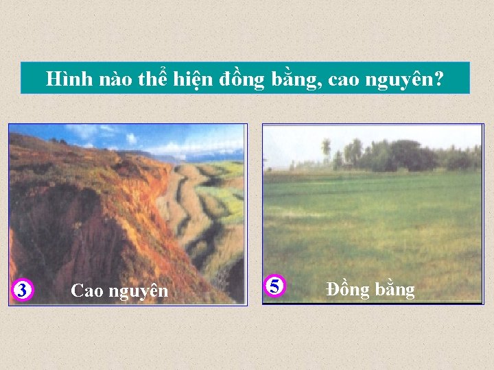 Hình nào thể hiện đồng bằng, cao nguyên? 3 Cao nguyên 5 Đồng bằng