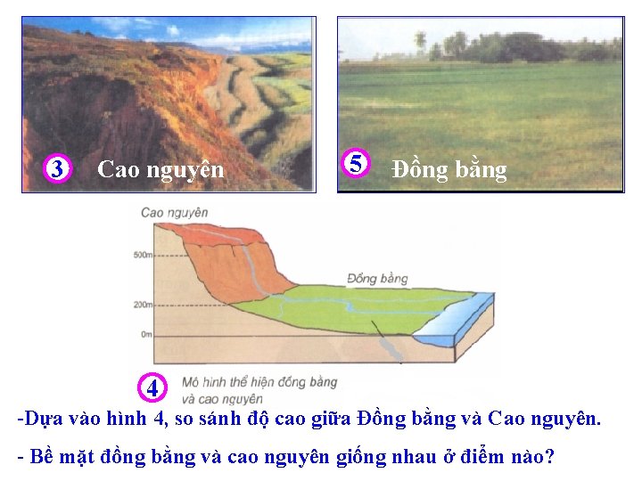 3 Cao nguyên 5 Đồng bằng 4 -Dựa vào hình 4, so sánh độ