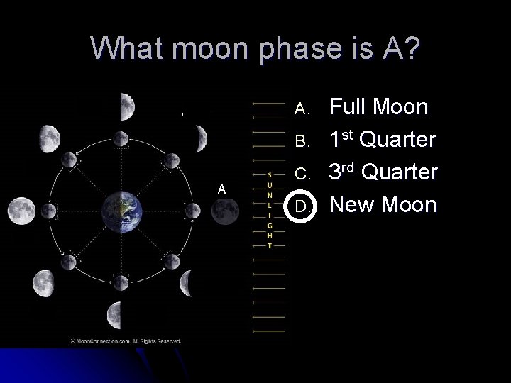 What moon phase is A? A. B. A C. D. Full Moon 1 st