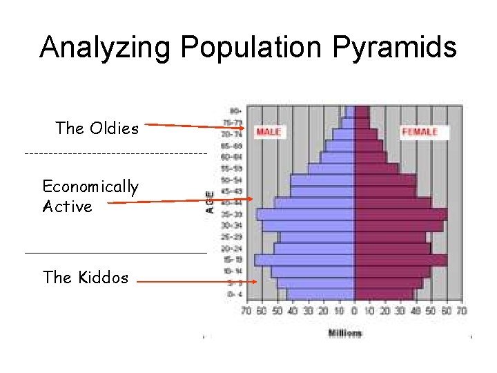 Analyzing Population Pyramids The Oldies Economically Active The Kiddos 