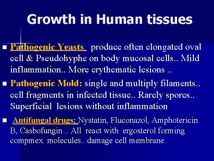 Growth in Human tissues Pathogenic Yeasts produce often elongated oval cell & Pseudohyphe on
