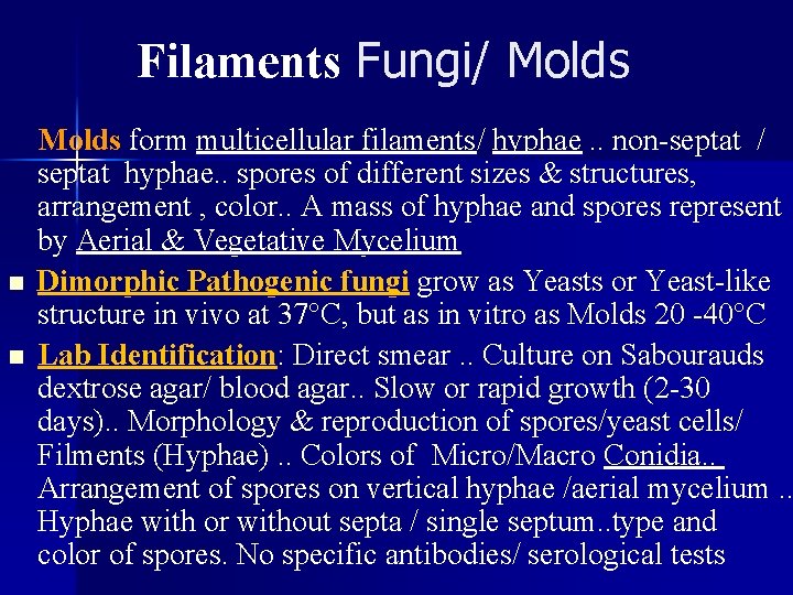 Filaments Fungi/ Molds n n Molds form multicellular filaments/ hyphae. . non-septat / septat