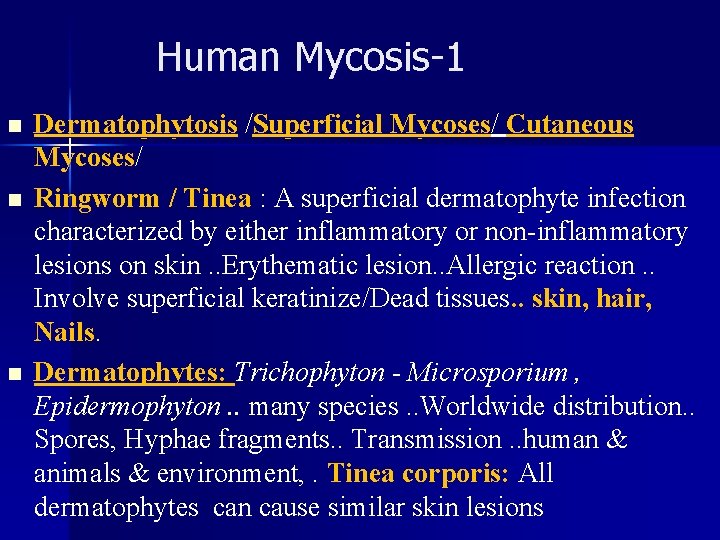 Human Mycosis-1 n n n Dermatophytosis /Superficial Mycoses/ Cutaneous Mycoses/ Ringworm / Tinea :