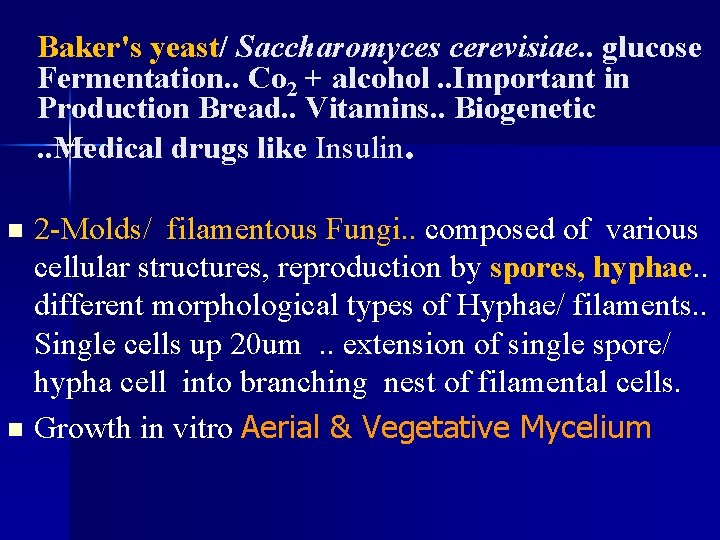 Baker's yeast/ Saccharomyces cerevisiae. . glucose Fermentation. . Co 2 + alcohol. . Important