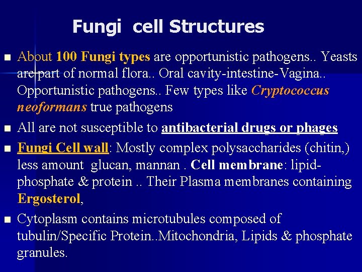 Fungi cell Structures n n About 100 Fungi types are opportunistic pathogens. . Yeasts