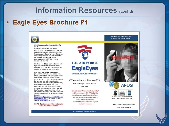 Information Resources (cont’d) • Eagle Eyes Brochure P 1  Information Resources (cont’d) • Eagle Eyes Brochure P 1