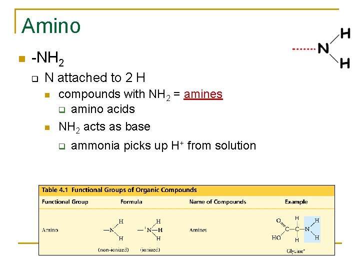 Amino -NH 2 q N attached to 2 H compounds with NH 2 =
