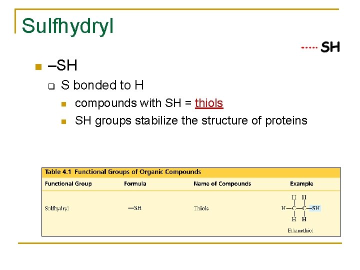 Sulfhydryl –SH q S bonded to H compounds with SH = thiols SH groups