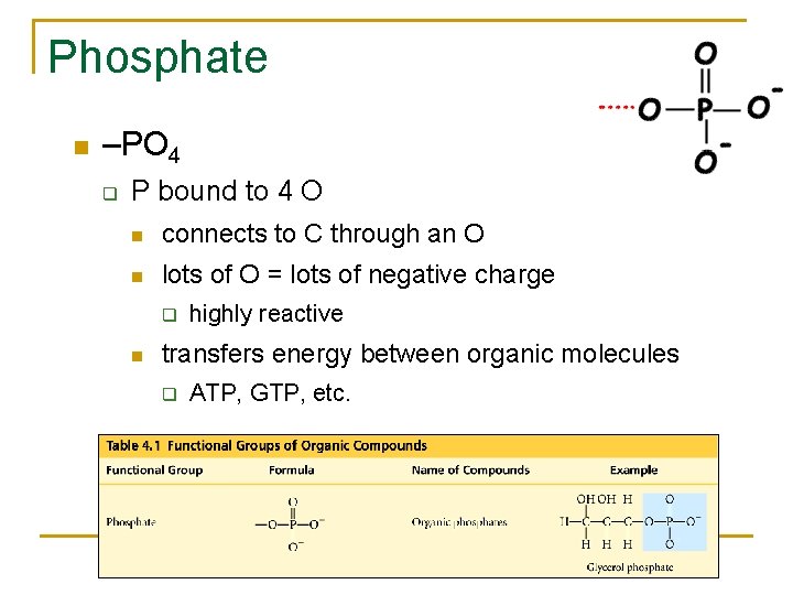 Phosphate –PO 4 q P bound to 4 O connects to C through an