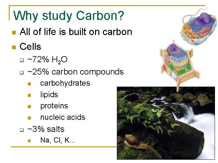 Why study Carbon? All of life is built on carbon Cells q q ~72%