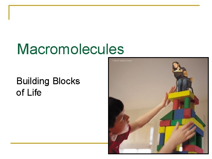 Macromolecules Building Blocks of Life 2007 -2008 