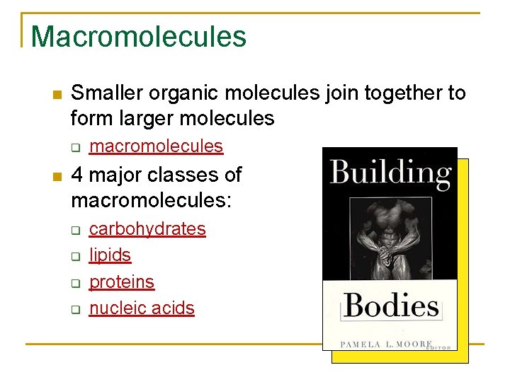 Macromolecules Smaller organic molecules join together to form larger molecules q macromolecules 4 major