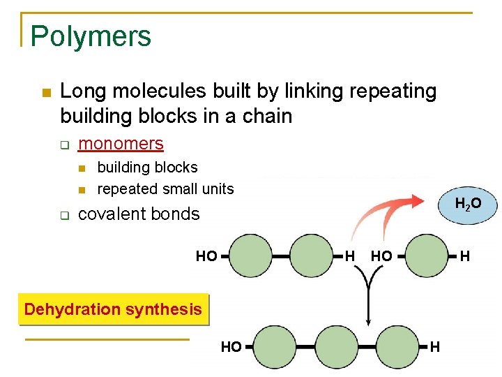 Polymers Long molecules built by linking repeating building blocks in a chain q monomers