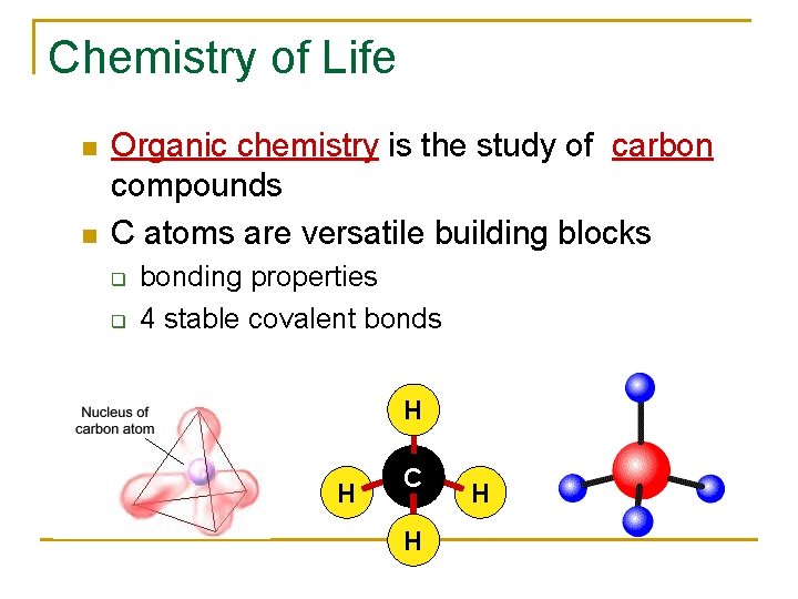 Chemistry of Life Organic chemistry is the study of carbon compounds C atoms are