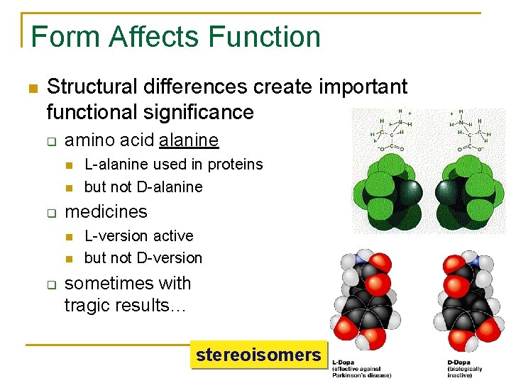 Form Affects Function Structural differences create important functional significance q amino acid alanine q