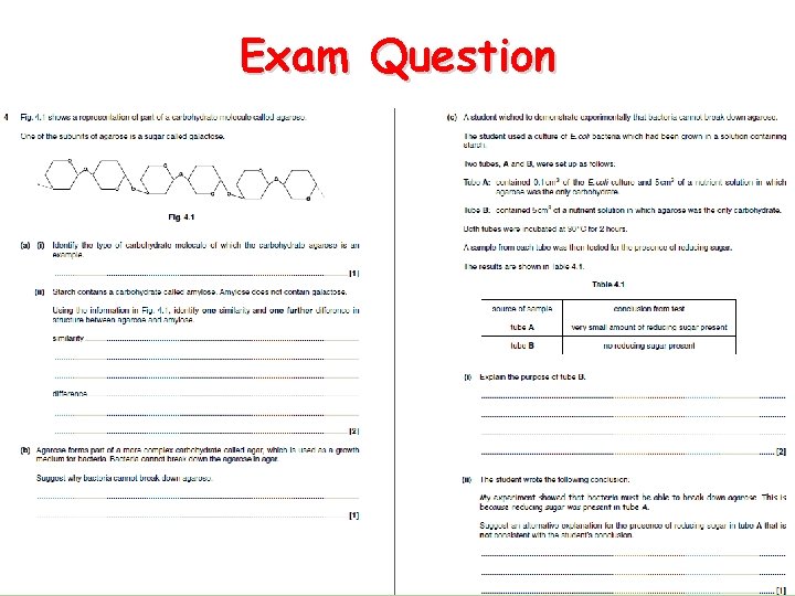 Exam Question 