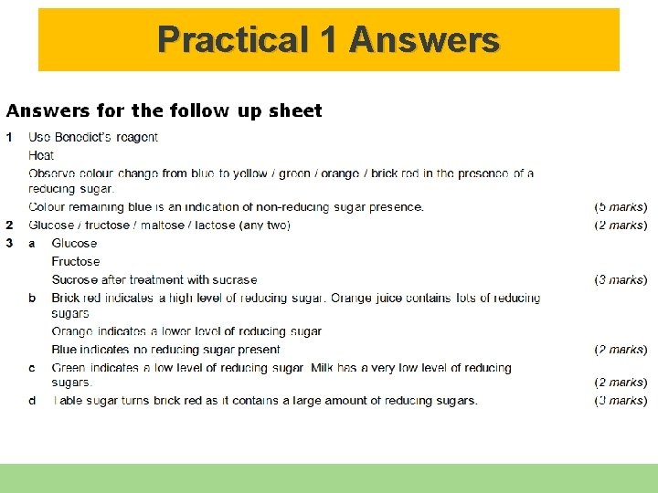 Practical 1 Answers 