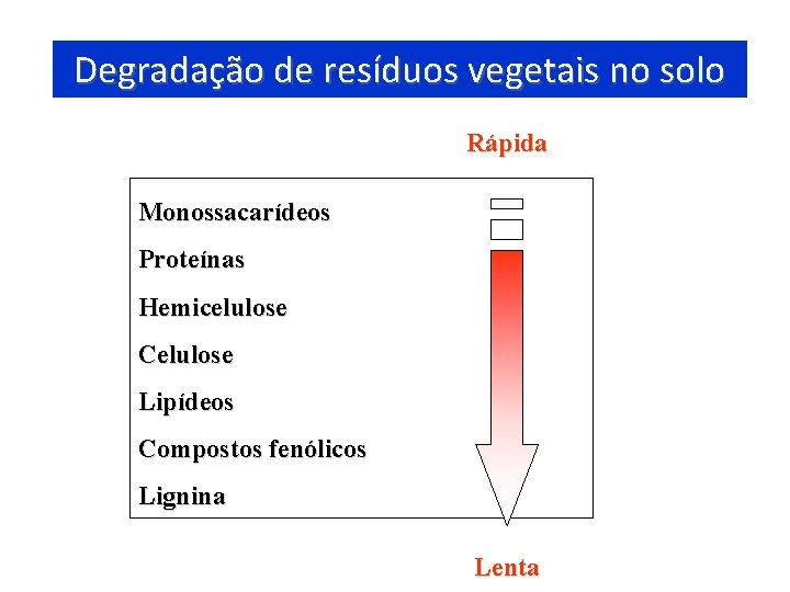 Degradação de resíduos vegetais no solo Rápida Monossacarídeos Proteínas Hemicelulose Celulose Lipídeos Compostos fenólicos