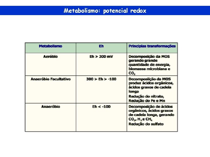 Metabolismo: potencial redox 