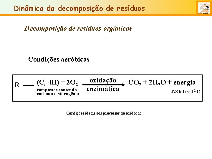 Dinâmica da decomposição de resíduos Decomposição de resíduos orgânicos Condições aeróbicas R (C, 4