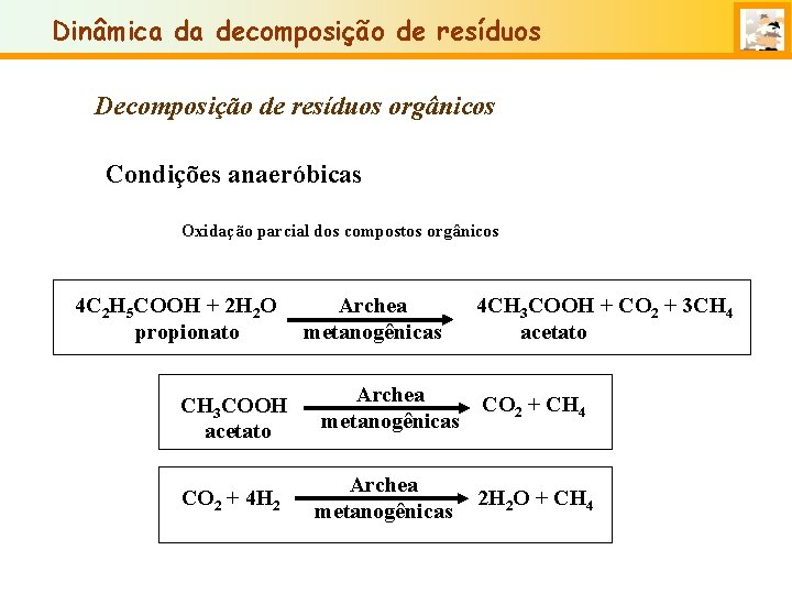 Dinâmica da decomposição de resíduos Decomposição de resíduos orgânicos Condições anaeróbicas Oxidação parcial dos