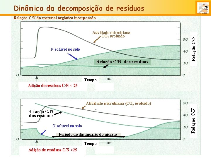 Dinâmica da decomposição de resíduos Atividade microbiana CO 2 evoluído N solúvel no solo