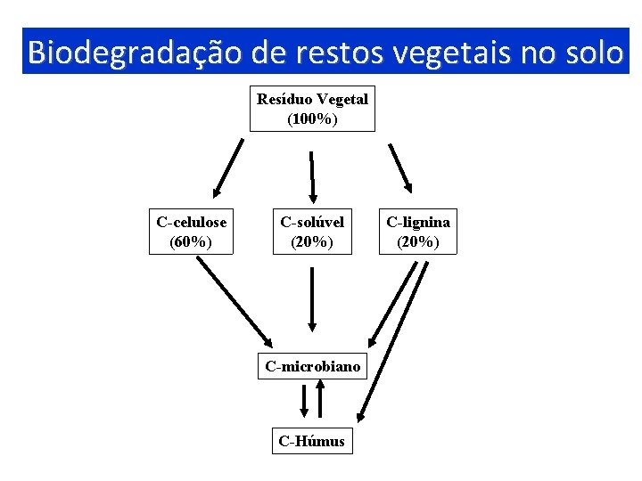 Biodegradação de restos vegetais no solo Resíduo Vegetal (100%) C-celulose (60%) C-solúvel (20%) C-microbiano