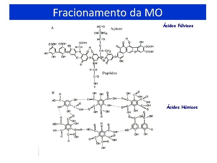 Fracionamento da MO Ácidos Fúlvicos Ácidos Húmicos 