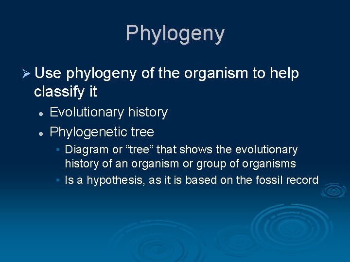 Phylogeny Ø Use phylogeny of the organism to help classify it l l Evolutionary