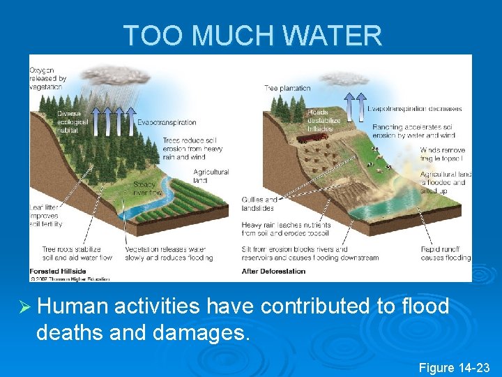 TOO MUCH WATER Ø Human activities have contributed to flood deaths and damages. Figure
