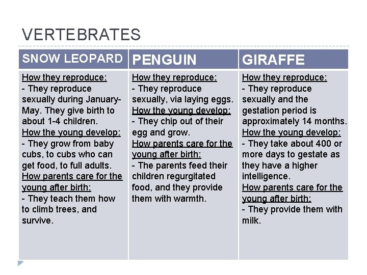 VERTEBRATES SNOW LEOPARD PENGUIN GIRAFFE How they reproduce: - They reproduce sexually during January.