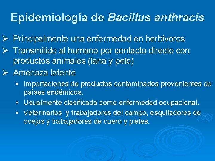 Epidemiología de Bacillus anthracis Ø Principalmente una enfermedad en herbívoros Ø Transmitido al humano