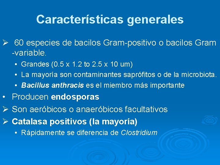 Características generales Ø 60 especies de bacilos Gram-positivo o bacilos Gram -variable. • Grandes
