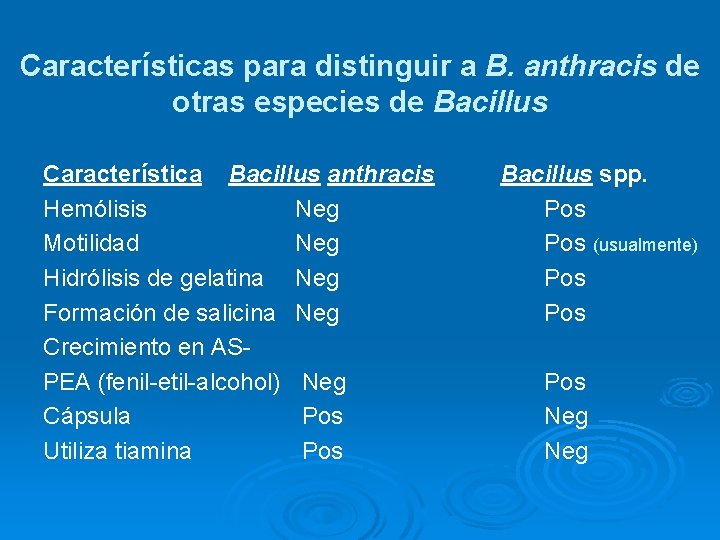 Características para distinguir a B. anthracis de otras especies de Bacillus Característica Bacillus anthracis