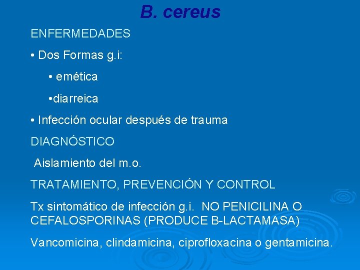 B. cereus ENFERMEDADES • Dos Formas g. i: • emética • diarreica • Infección