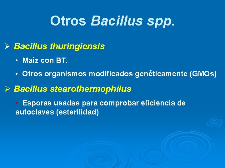 Otros Bacillus spp. Ø Bacillus thuringiensis • Maíz con BT. • Otros organismos modificados