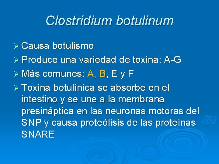 Clostridium botulinum Ø Causa botulismo Ø Produce una variedad de toxina: A-G Ø Más