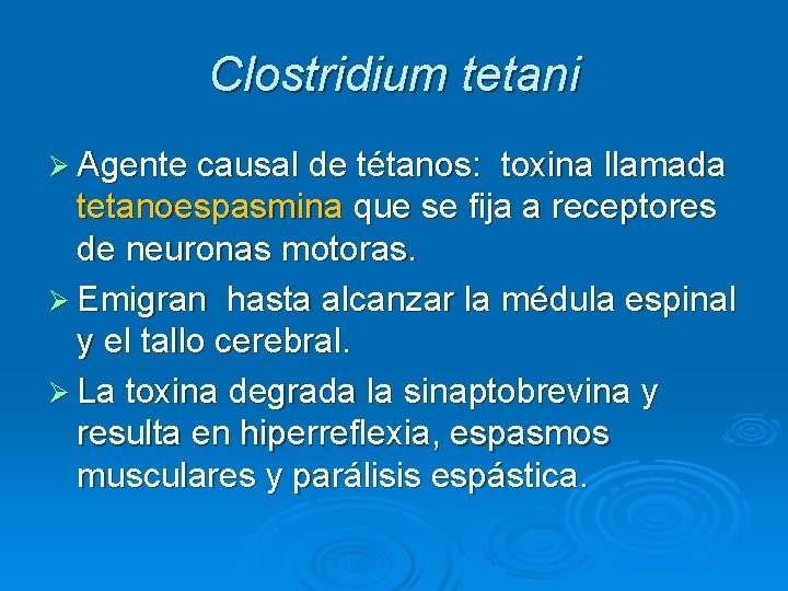 Clostridium tetani Ø Agente causal de tétanos: toxina llamada tetanoespasmina que se fija a