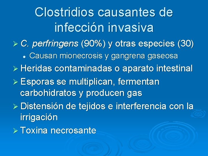 Clostridios causantes de infección invasiva Ø C. perfringens (90%) y otras especies (30) l