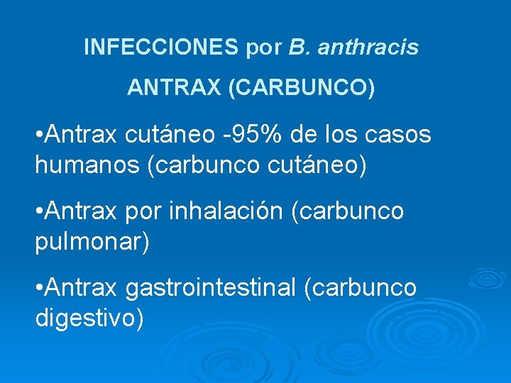 INFECCIONES por B. anthracis ANTRAX (CARBUNCO) • Antrax cutáneo -95% de los casos humanos