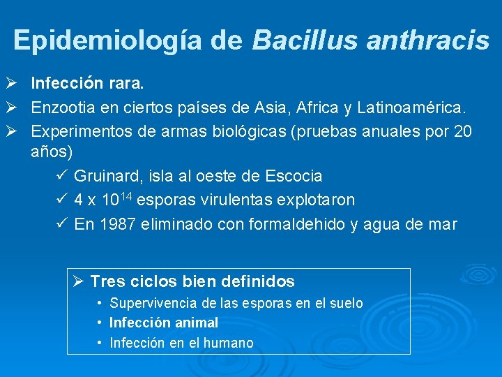 Epidemiología de Bacillus anthracis Ø Infección rara. Ø Enzootia en ciertos países de Asia,