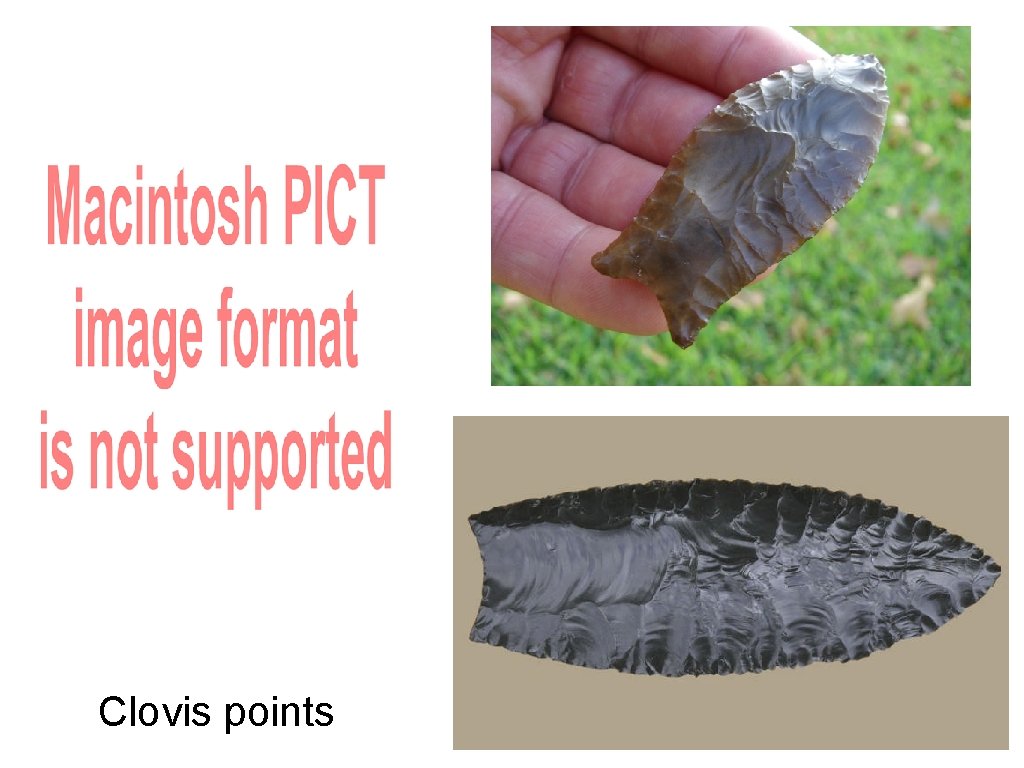 Clovis points 